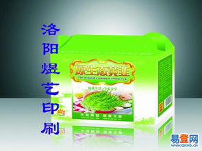 探索洛龍彩色印刷的藝術與科技融合